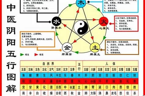 1984年五行属什么|1984年属鼠是什么命，84年出生五行属什么